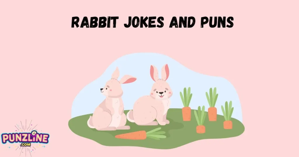 Rabbit Jokes And Puns