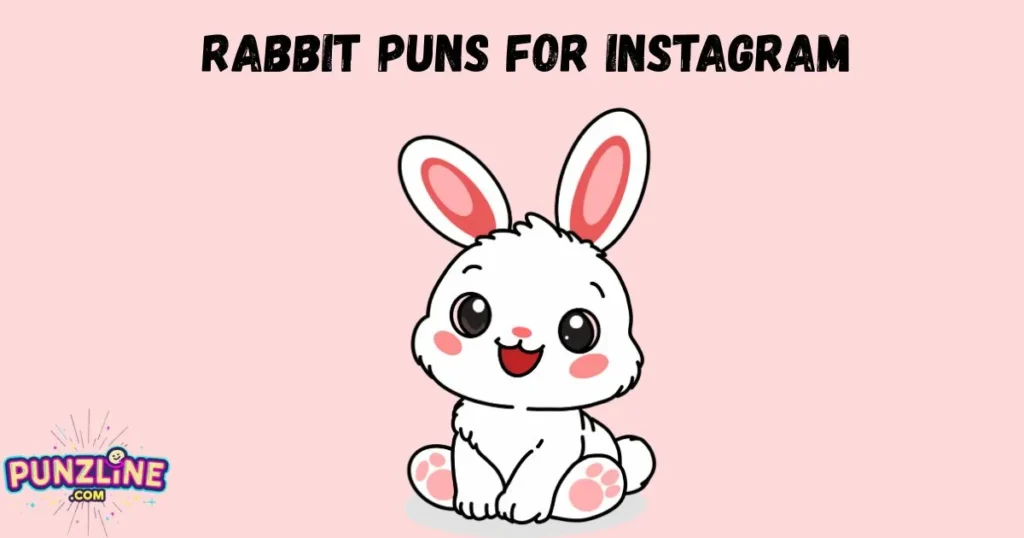 Rabbit Puns For Instagram