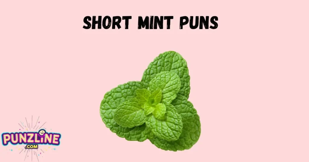 Short Mint Puns