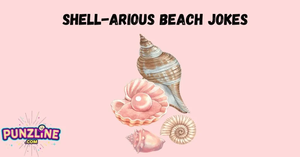 Shell Arious Beach Jokes