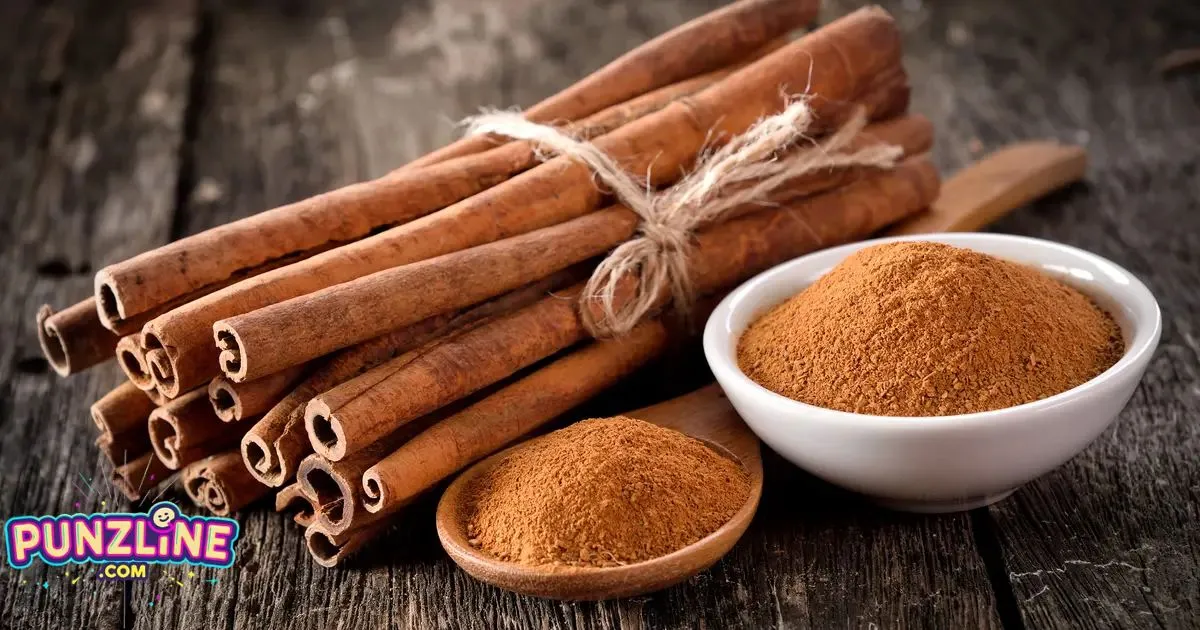 Cinnamon Puns And Jokes