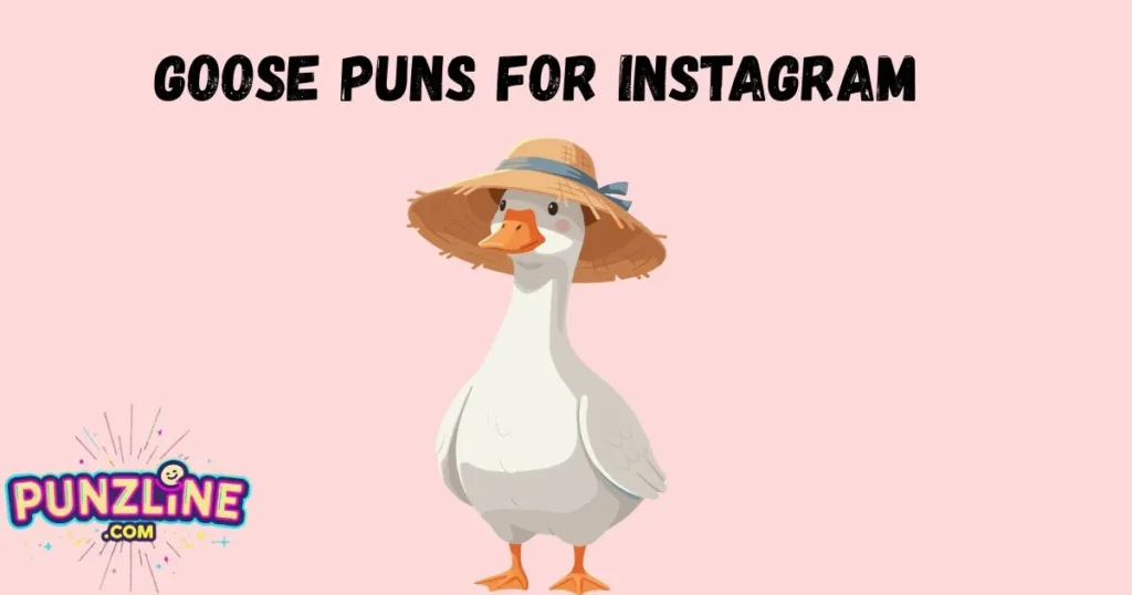 Goose Puns For Instagram