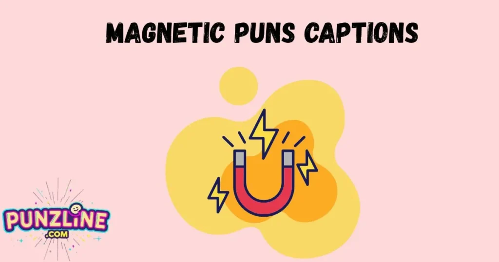 Magnetic Puns Captions