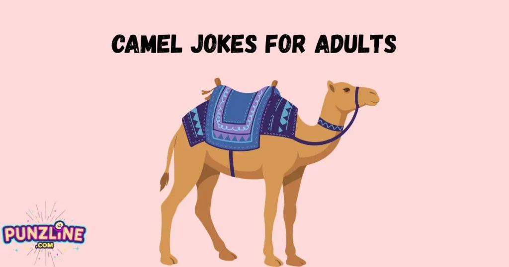 Camel Jokes For Adults