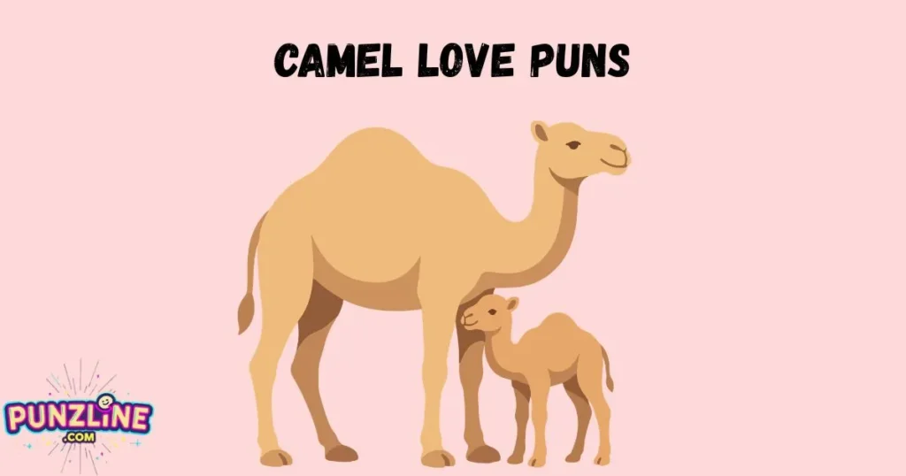 Camel Love Puns 1
