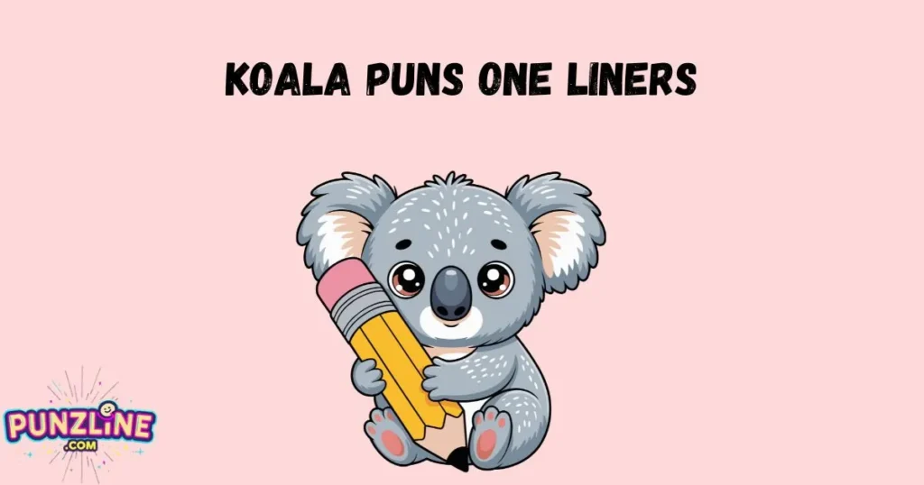 Koala Puns One Liners
