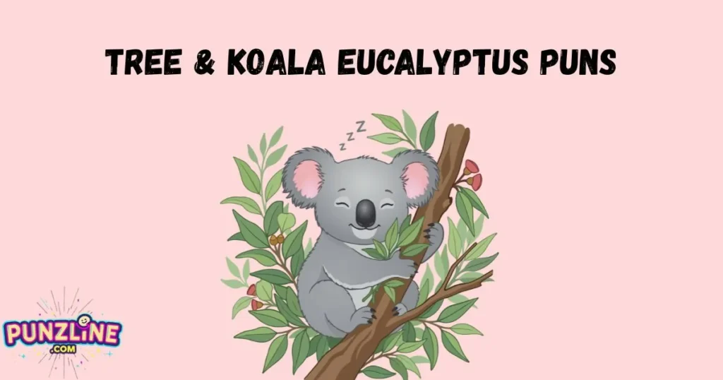Tree And Koala Eucalyptus Puns