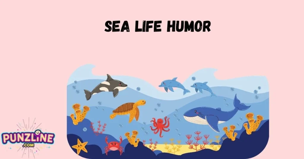 🪼 Sea Life Humor