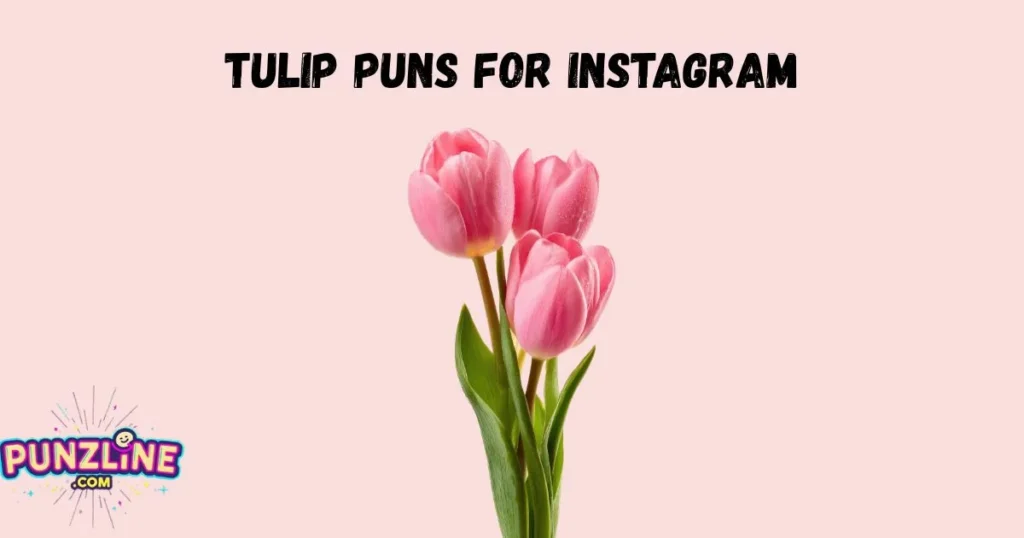 Tulip Puns For Instagram