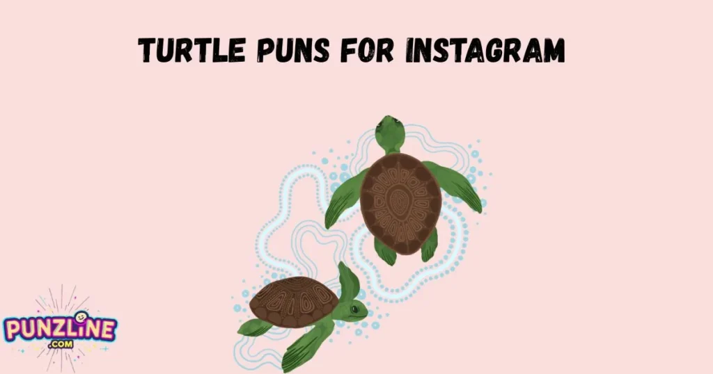 Turtle Puns For Instagram